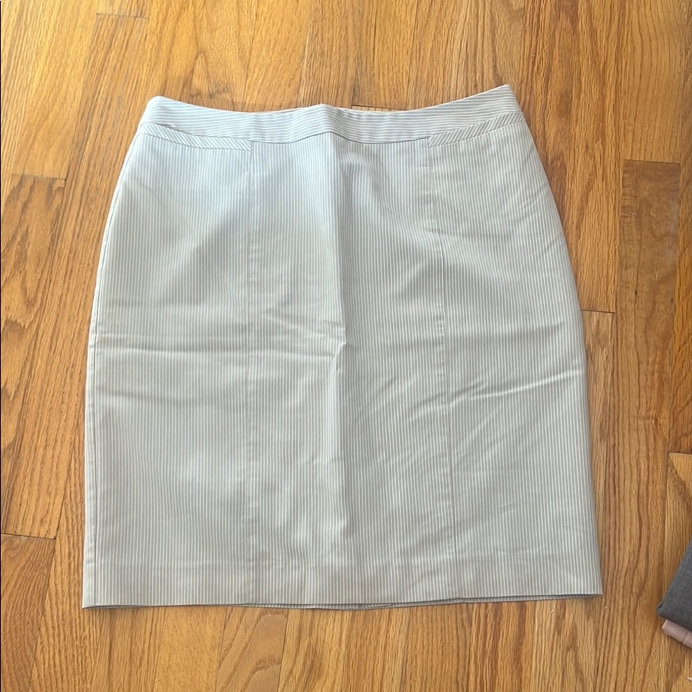 Elegant Light Gray Pencil Skirt